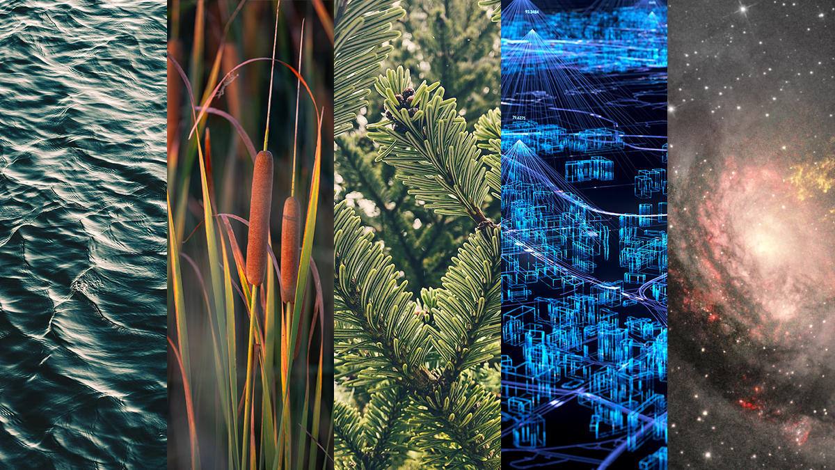 Collage of images featuring water, cattails in wetlands, conifer foliage, an energy grid, and a galaxy.