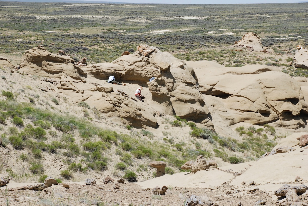 The Smiley Draw sandstone with the field crew on site collecting fossils.