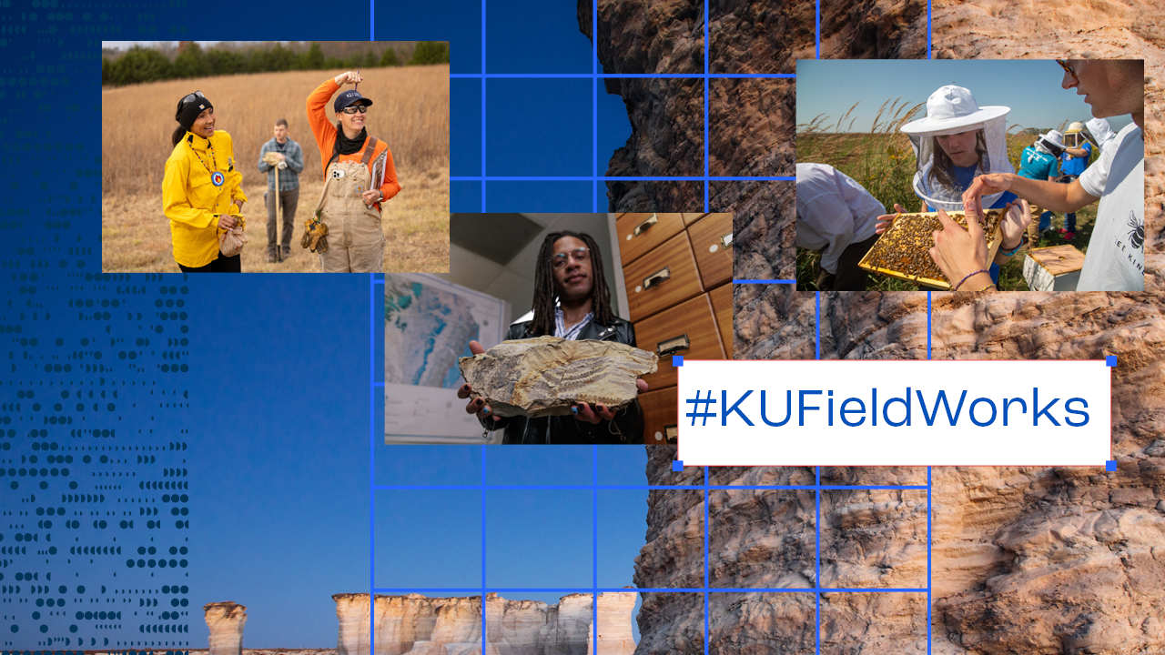 Multiple photos of students and faculty doing research in the field.