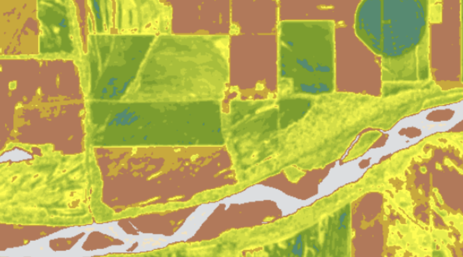 Map of vegetation cover along the Kansas River near Lakeview Lake oxbow.