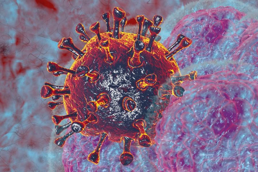 3D render illustration of a Natural killer body cell iresponse to corona virus cell