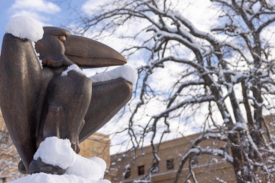 Academic Jay statue, partially covered in snow, outside Strong Hall.