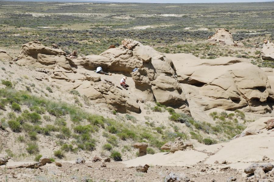 Photo of the Smiley Draw sandstone with the field crew on site collecting fossils.