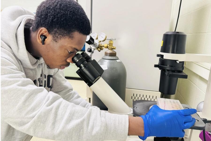 Graduate researcher Azeem Talabi look through a microscope