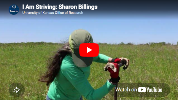 Thumbnail of YouTube video for the interview of Sharon Billings.
