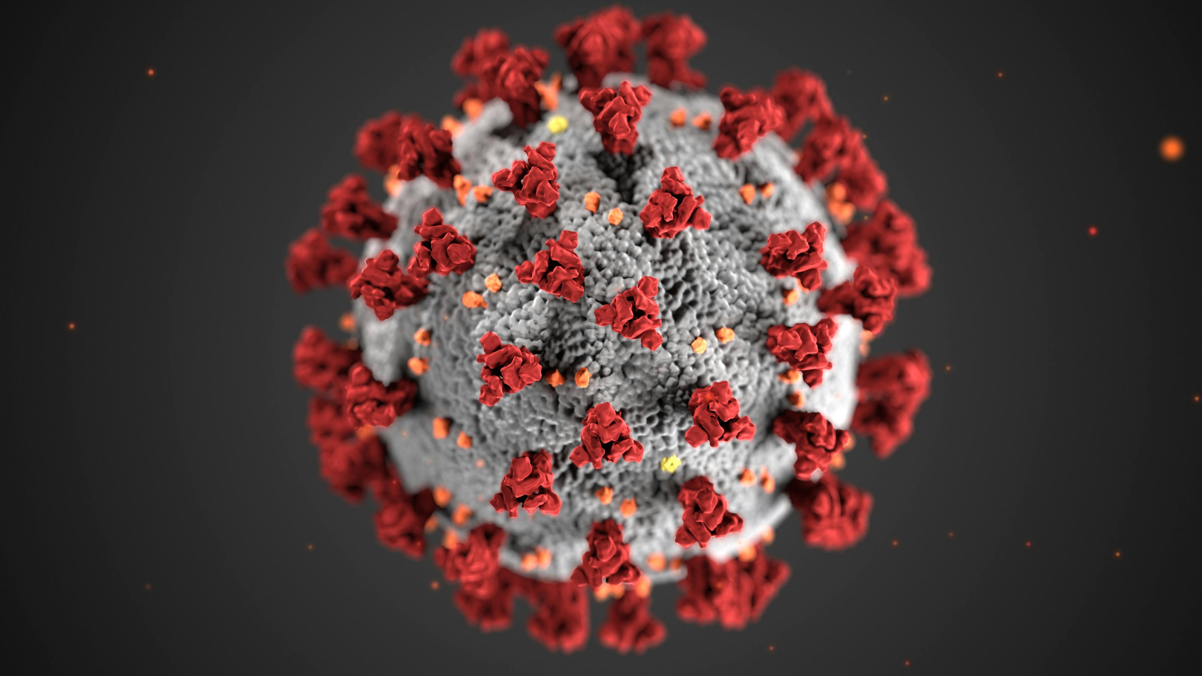 coronavirus model on black background