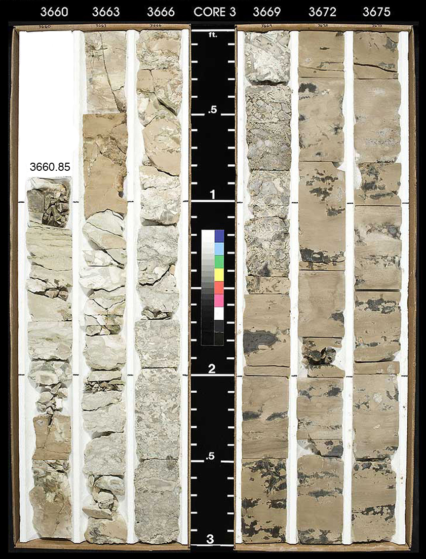 Preserved core that was brought up from more than 3,660 feet underground and sliced lengthwise to show the core's interior.