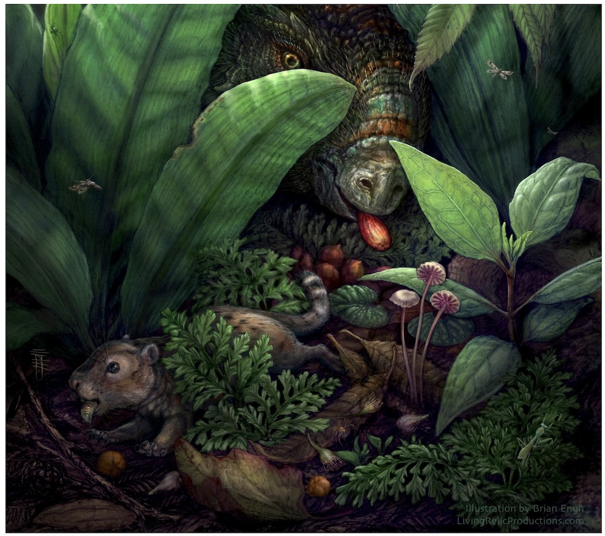 A scientific illustration reconstruction of a Late Cretaceous forest where a small mammal and a horned dinosaur eat the fleshy fruits of flowering plants.