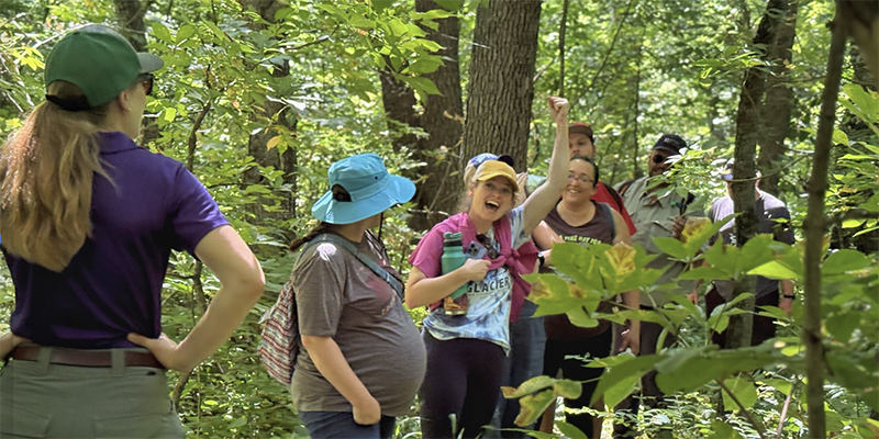 Group of eight people travel along forest path. One person raises hand and shouts while others smile. The group leader, in the uniform of a forester, with polo shirt, hiking pants and cap, has turned to look toward the group.
