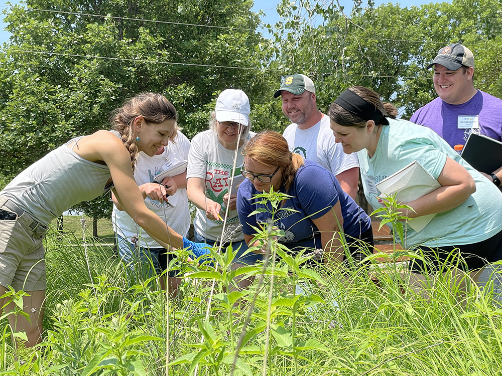 Teachers participating in the Ecosystems of Kansas Summer Institute work with postdoc Laura Podzikowski at the prairie planting outside the Armitage Education Center at the KU Field Station.