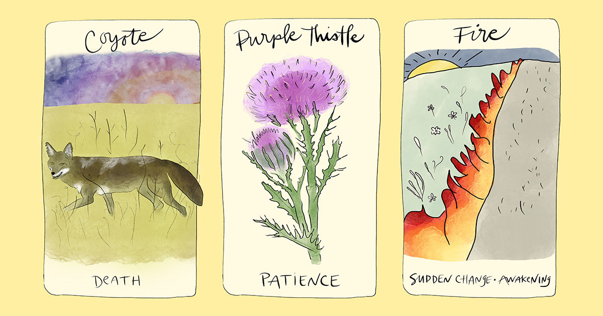 Prairie Divination oracle deck card set co-created by Meg Kaminski, associate professor of English