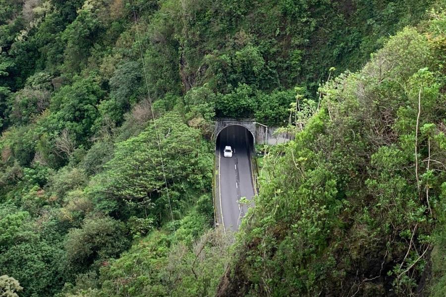 Car driving into tunnel in woods.