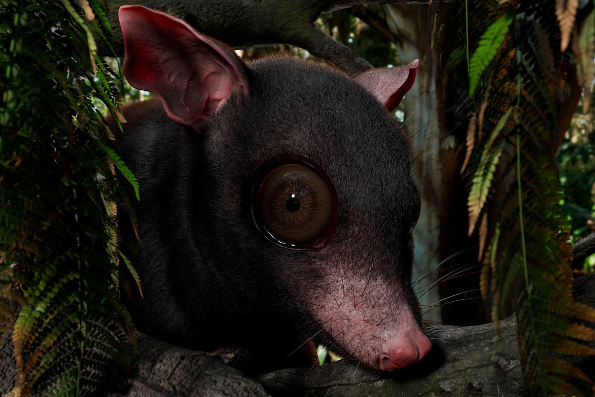 Researchers unearth big possum that lived around 60 million years ago in Texas’ Big Bend National Park