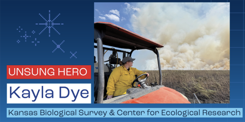 Person in yellow fire-resistant jacket driving all-terrain vehicle at prescribed burn site in field, with the words in graphics, "Unsung hero, Kayla Dye, Kansas Biological Survey & Center for Ecological Research."