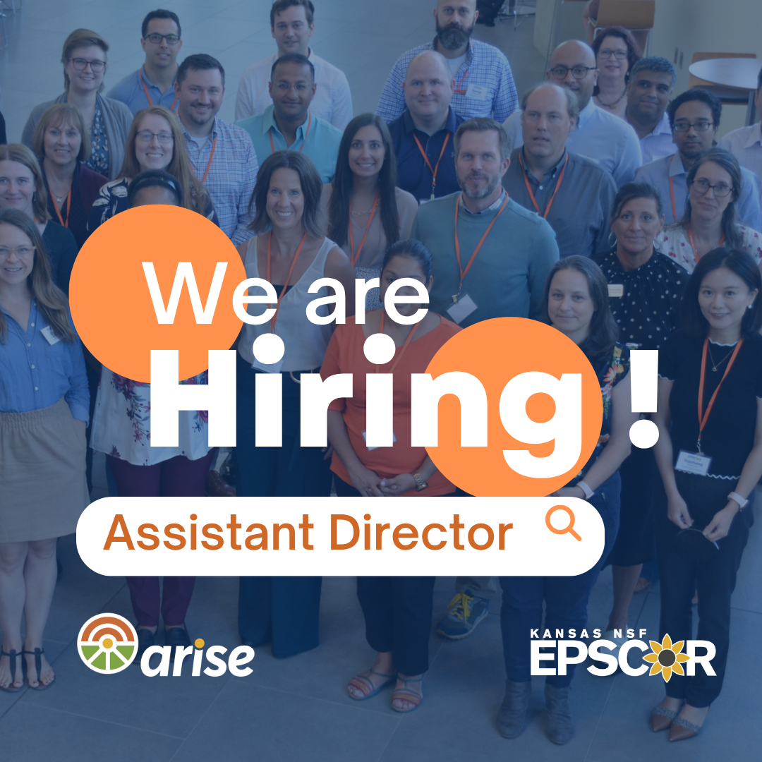 We are hiring!