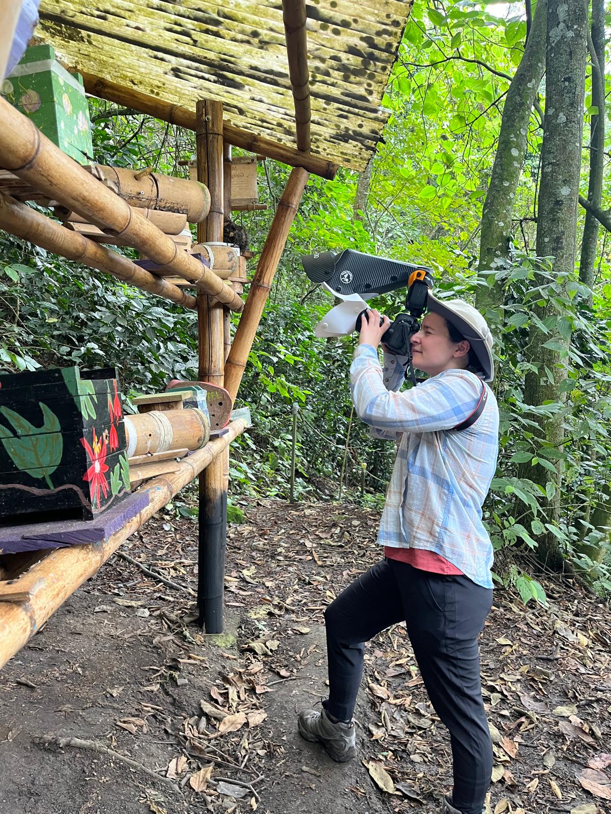 Maria Losito takes photos of stingless bees entering their nest using a microscopic camera at Campo Colombia, a native bee reserve in Colombia.