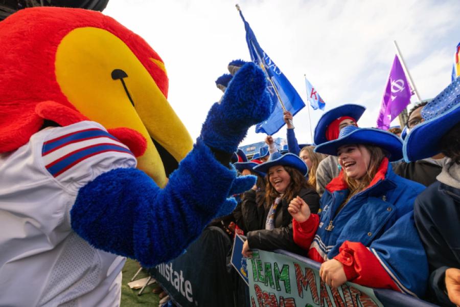 Baby Jay and football fans celebrate at a KU football game.