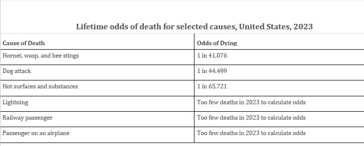 Lifetime Odds of Death 2023 Table 2