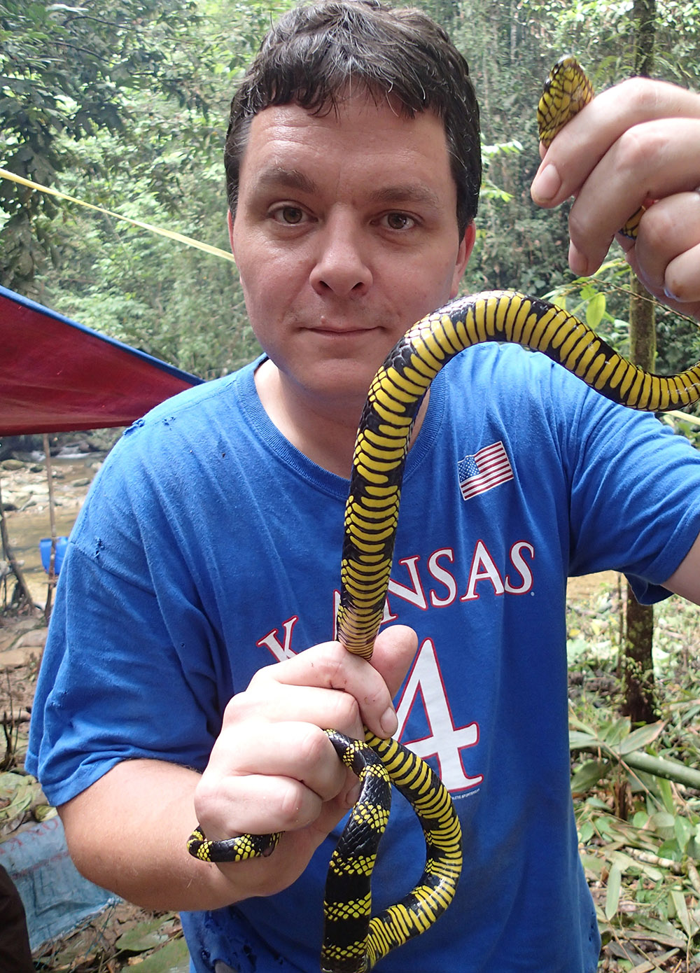 Rafe Brown, KU professor and curator, holding a snake.