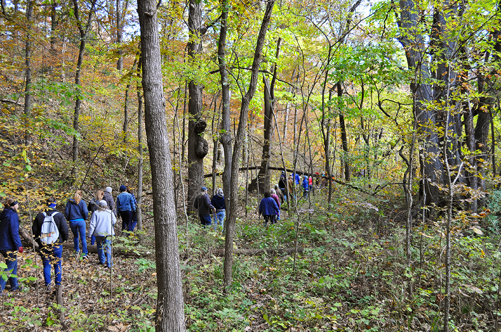 Individuals walking through Baldwin Woods Forest Preserve with fall foliage.