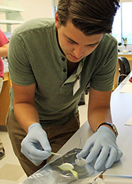 Jacob uses a pipet tip to place epoxy around the inlet and outlet tubes of his chip.