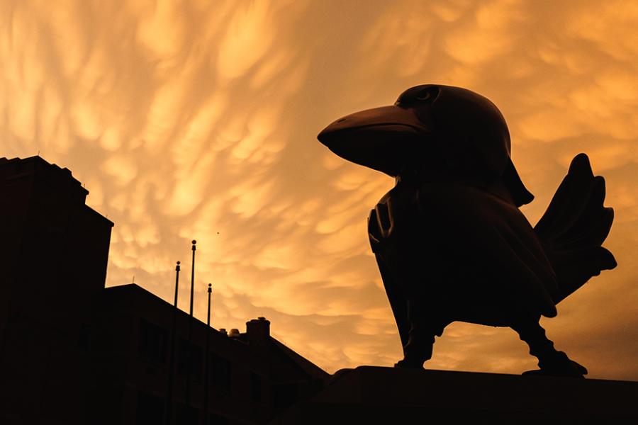 Jayhawk sculpture stands out against a an orange sunset in the background