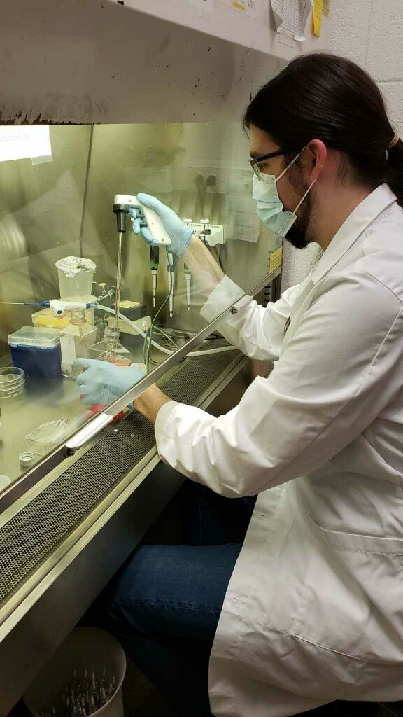 Darren working on cell cultures