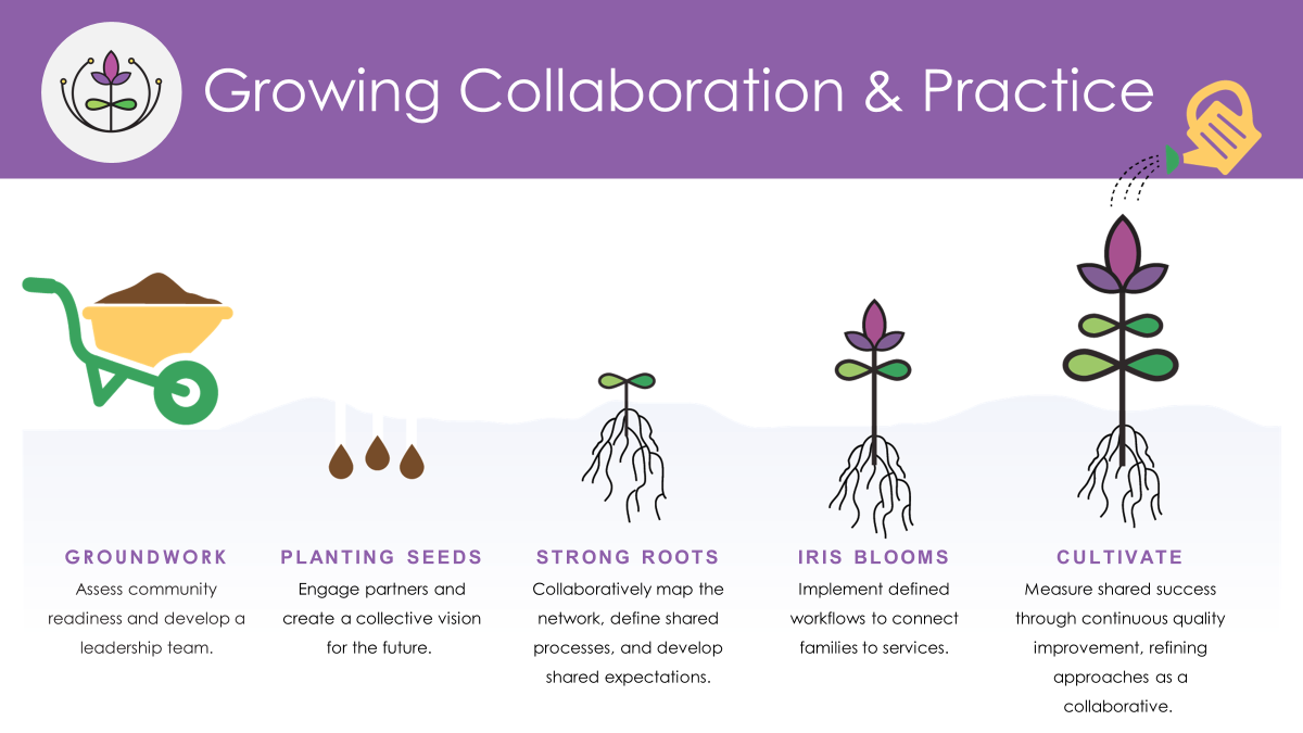 Infographic on how IRIS grows supportive collaboration with communities