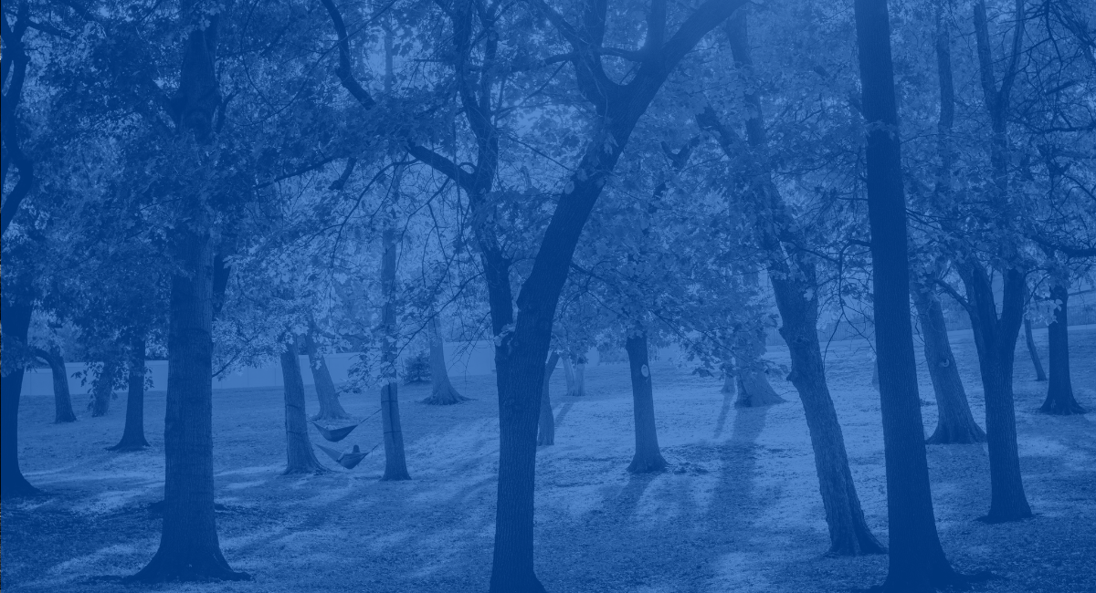 Blue mask over a small collection of trees.