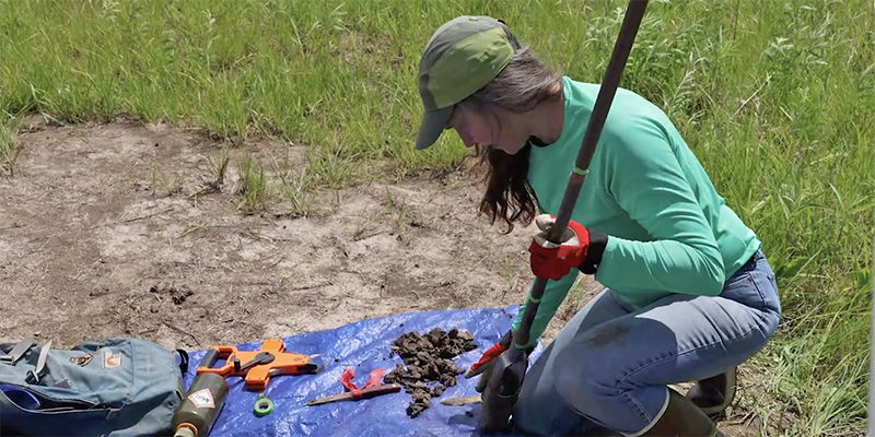 Person in field holding long metal soil coring drill and scraping soil from the end of it onto a tarp.