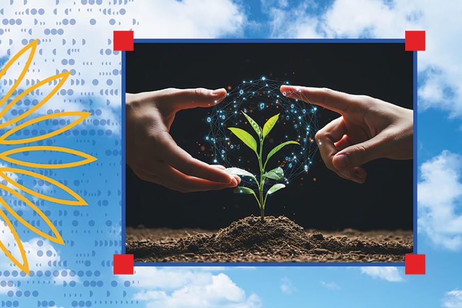 Network on top of two hands nurturing a small plant.