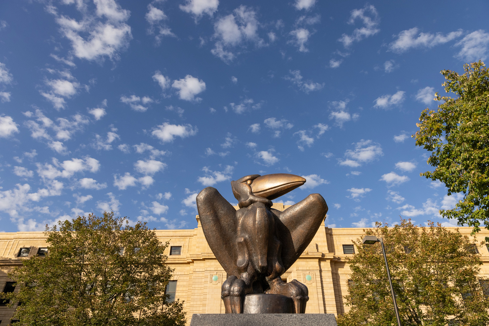 A bronze Jayhawk statue in front of Strong Hall with a blue sky and scattered clouds overhead