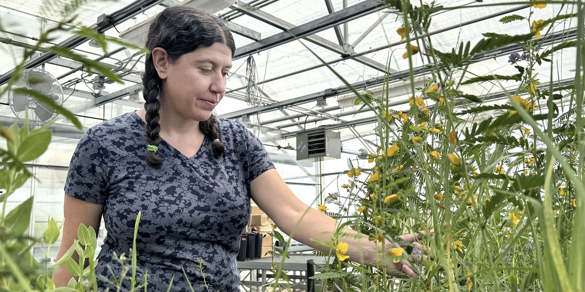 Researcher Liz Koziol in greenhouse