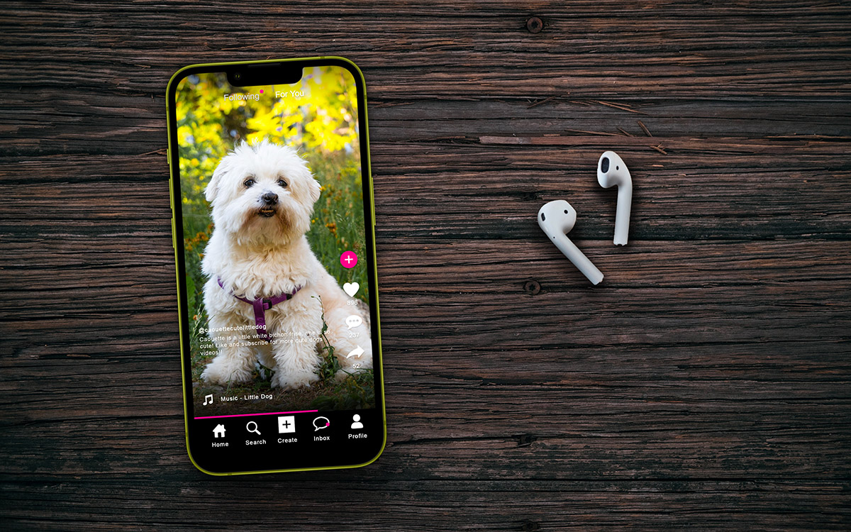 A smartphone and a pair of earbuds on a table. The phone has a social media image of a small, white dog.