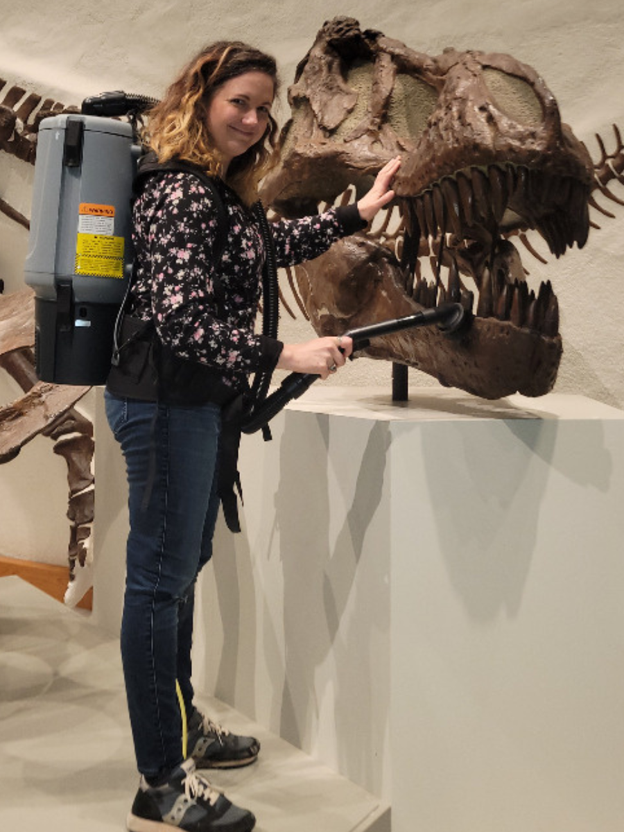Christina Lutz vacuums a cast Tyrannosaurus rex skull and jaws at the Yale Peabody Museum