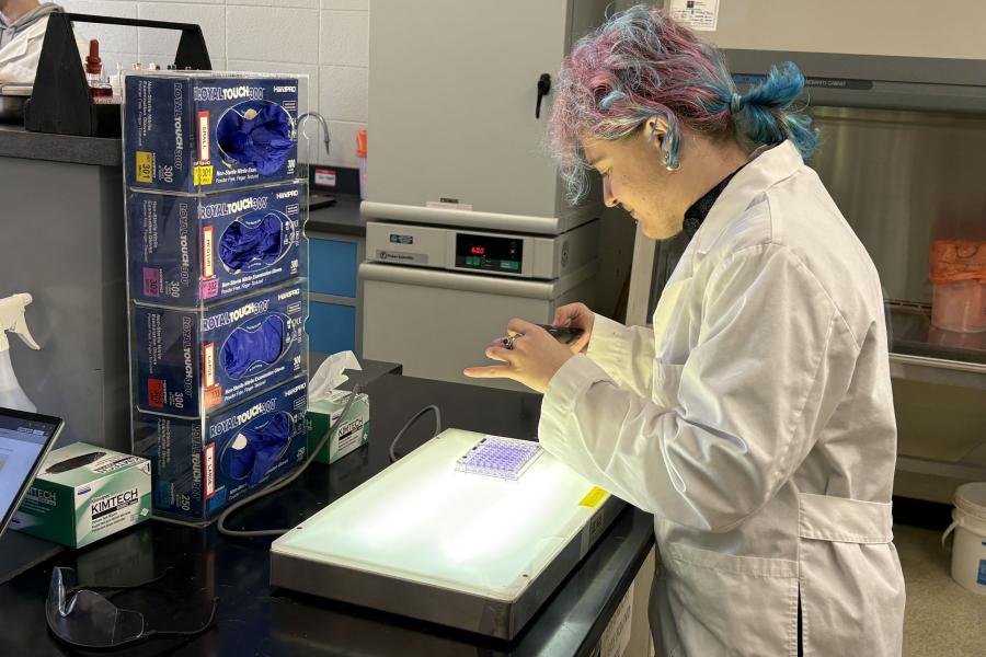 Rigel Parker works at lab station