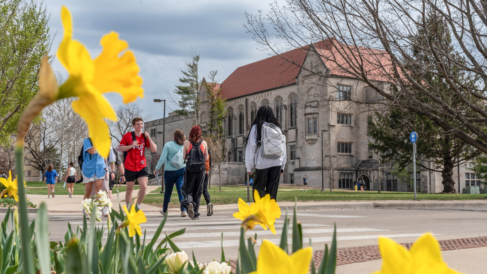Students use the crosswalk with Watson Library in the background.