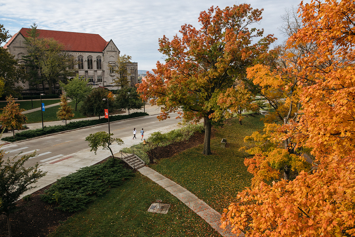 Fall foliage outside Watson Library