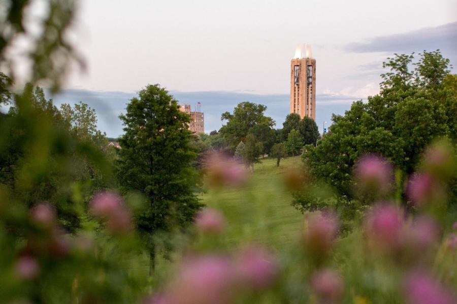 spring flowers overlooking the KU campanile on an overcast day
