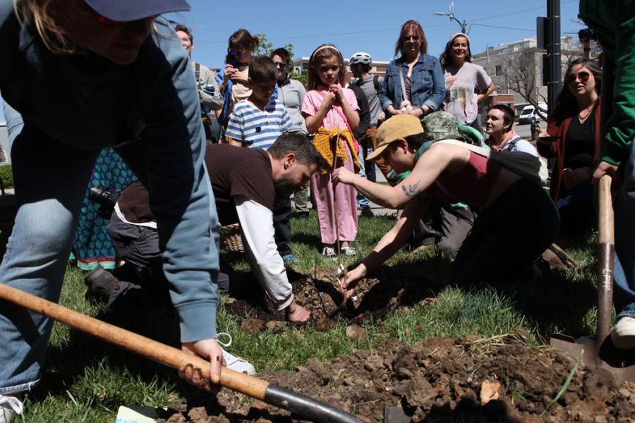 Two individuals dig holes in ground with smiling crowd in background for fruit tree planting outside Lawrence Public Library.
