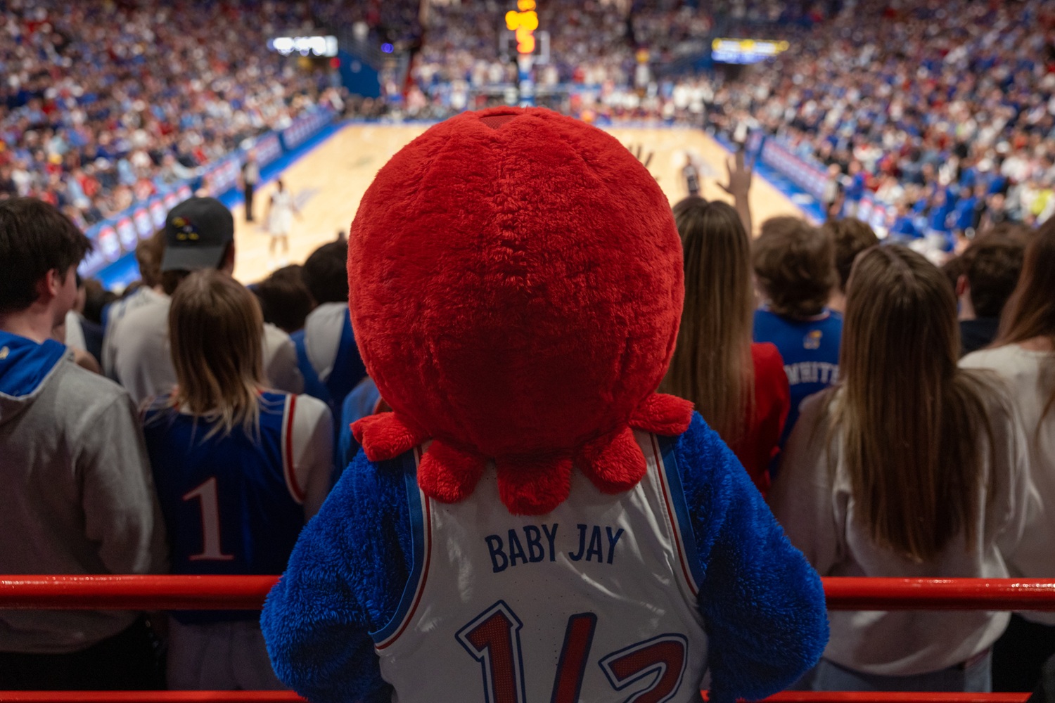 back of baby jay at during men's basketball game