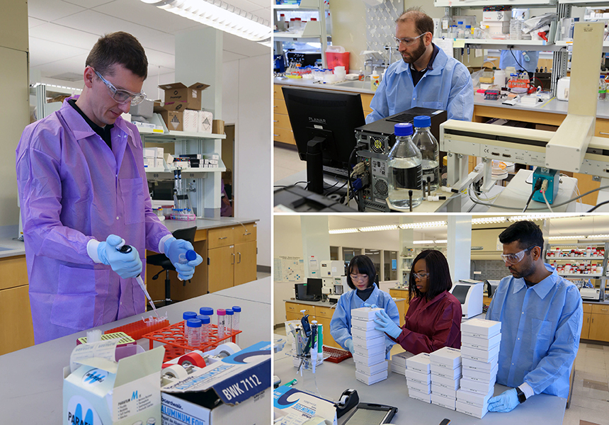 Collage of three images of KU Vaccine Analytics & Formulation Center staff members work in the lab