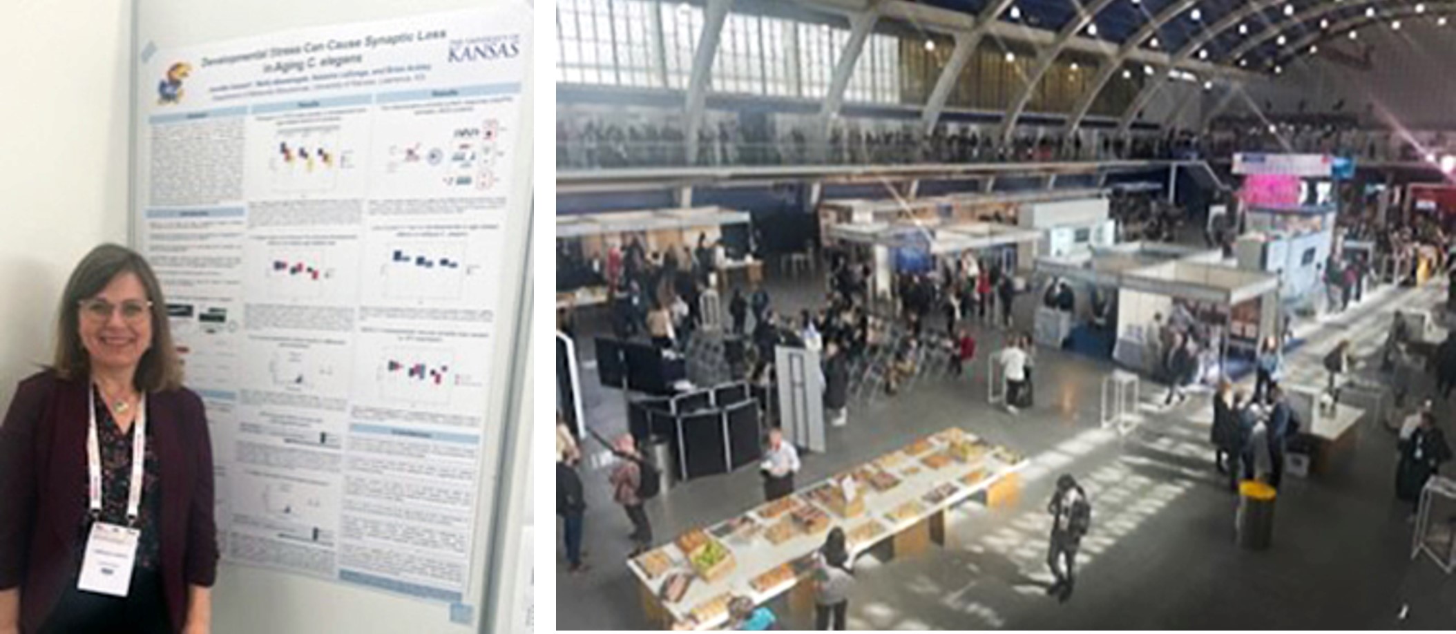 Jennifer Amrein in fornt of her poster (left) and the Conference Center bird view (right)