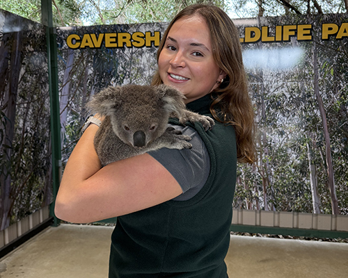 Person holding a koala at Caversham Wildlife Park.