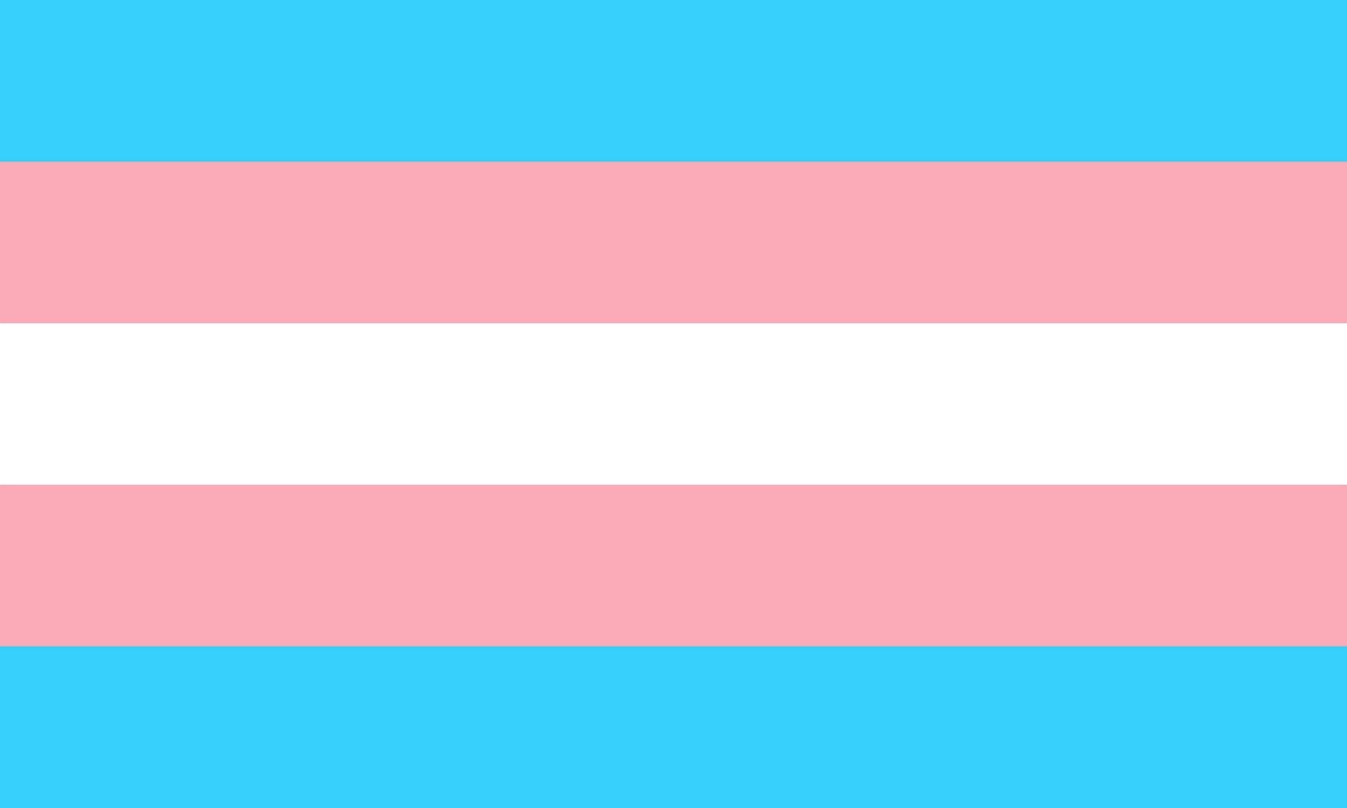 Transgender flag. Source: Wikicommons