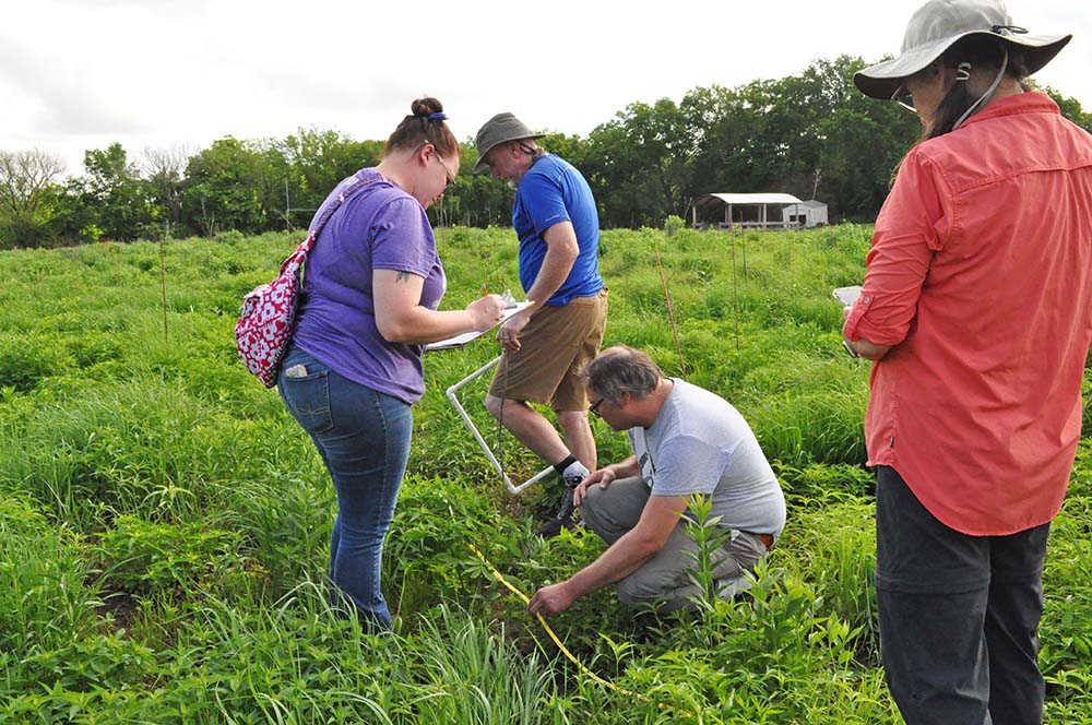 Summer Institute participants carry out an exercise using standard field research methods for plant species sampling at Free State Prairie.