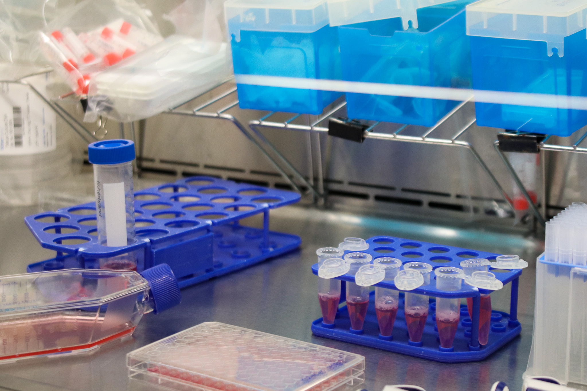 vials and test tubes