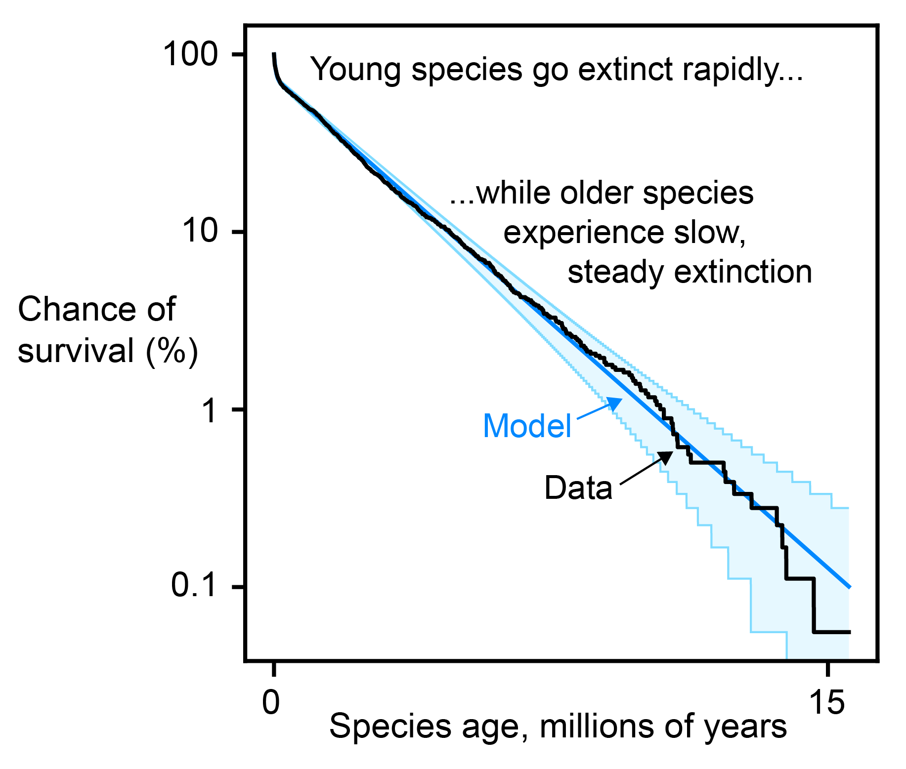  Chart showing younger species are generally at greater risk of extinction.