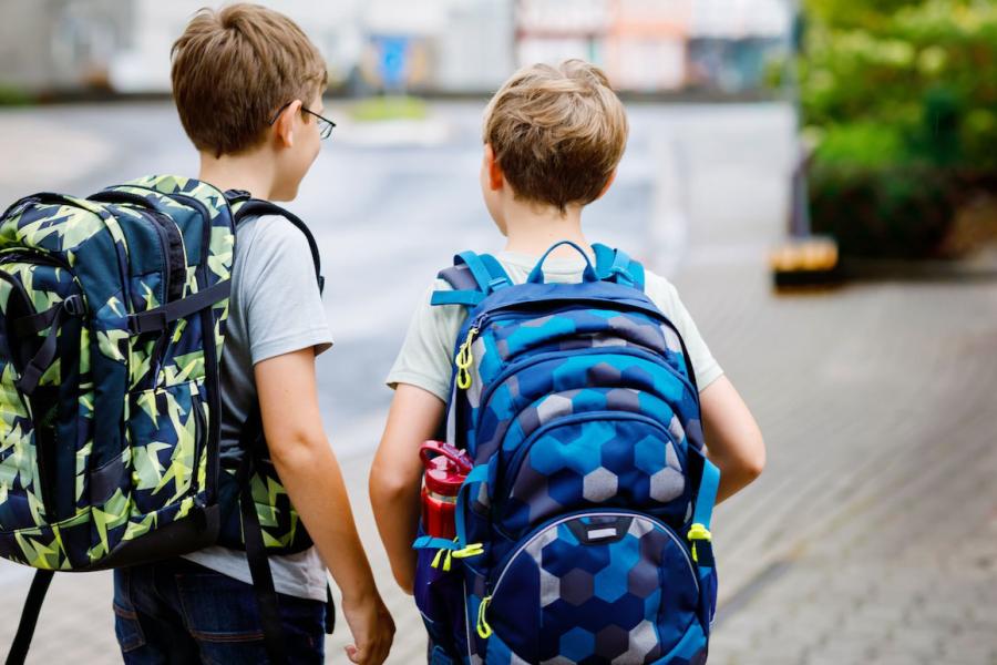 Stock photo of brothers going to school