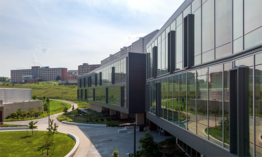 Gray-Little Hall on a clear day